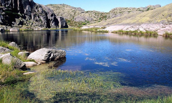 Gouveia Apartment | Casa da Candida - Studio Studio