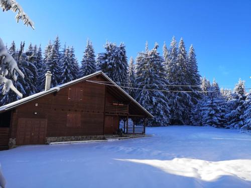 Toplita House | Casa de Vacanta Dintre Brazi