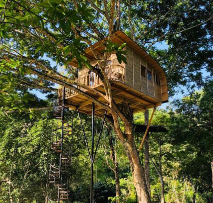 La Pena Villa | Casa del Árbol Colombia