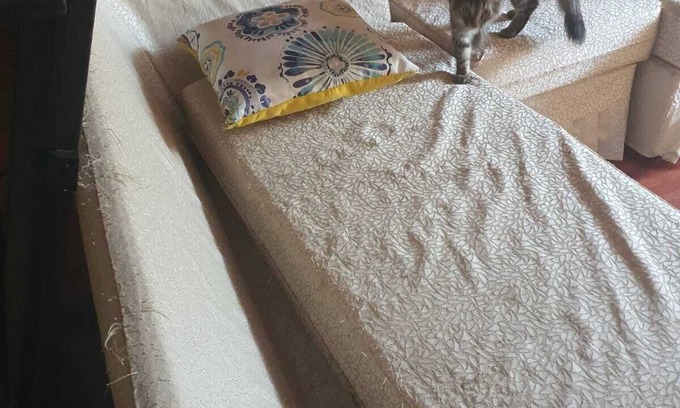 Lurigancho House | Casa Desier