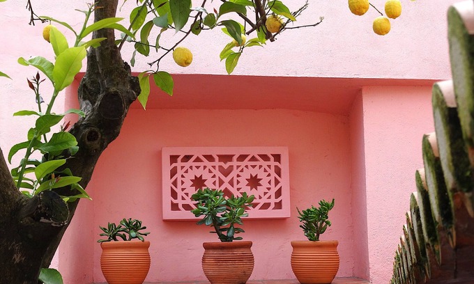 Serpa House | Casa do Limoeiro at Serpa's Historical Center