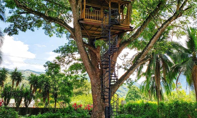 Utica Cabin | Casa en el Arbol