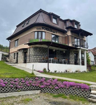 Borsec House | Casa Forrás