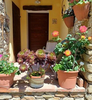 Ovada Bed & Breakfast | Casa Galla