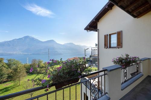 Stazzona House | Casa Giuly