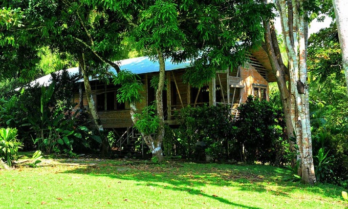 Cabo Matapalo House | Casa Linda, Bamboo Rainforest Beach House