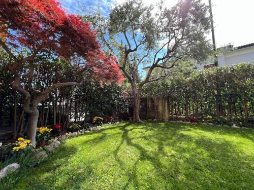 Monte Apartment | Casa Riello, a due passi dal lago