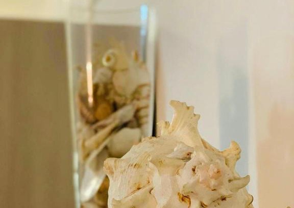 Mondragone House | Casa Sissi