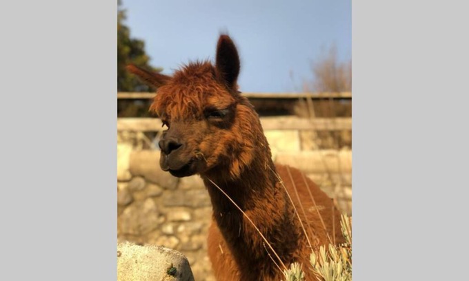 Borgo di Terzo Apartment | Casa vacanza Convento San Michele - Mergellina