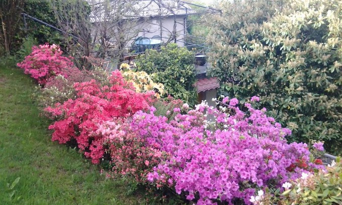 Brunate House | Casa Vacanze Le Violette