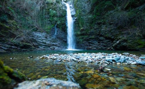 Carcheto-Brustico House | Castellu d'Orezza