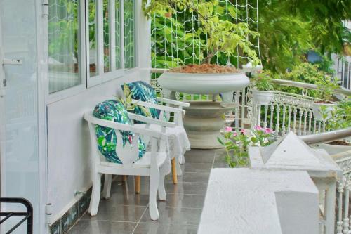 Cat Hai House | Cat Ba Santorini Homestay