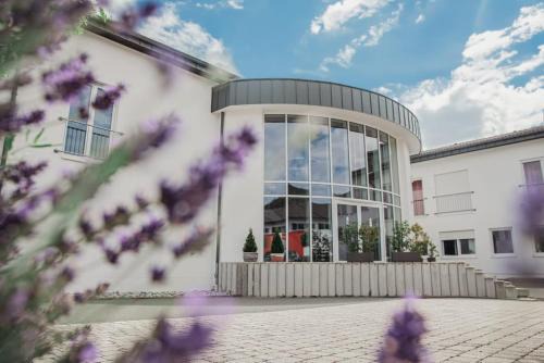 Zierenberg House | Catherine House