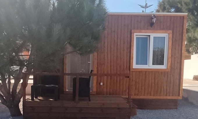 Lourinha House | CATSHOUSE CARQUEJA 2