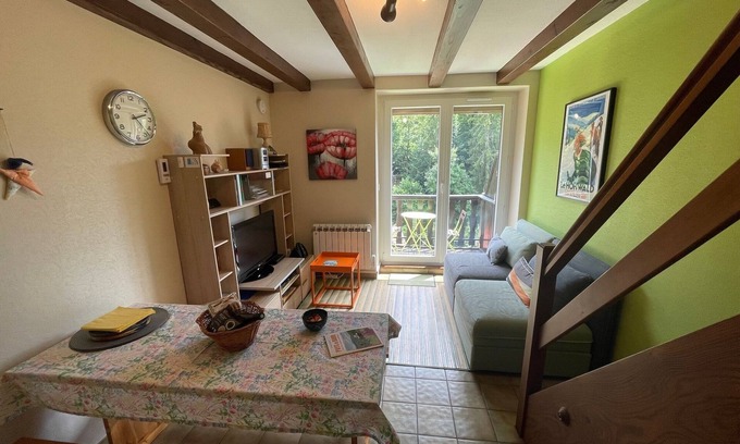 Le Hohwald Apartment | Central Alsace in the mountains LE HOHWALD apartment 3 persons