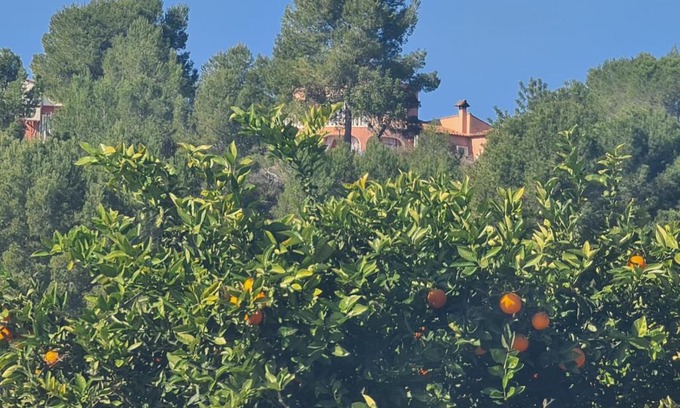 Montroi House | Château Angélique