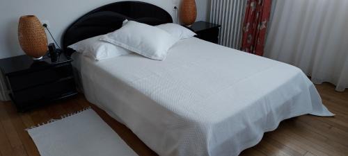 Velizy-Villacoublay Bed & Breakfast | Chambre 2 Vue sur le jardin