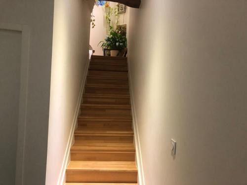 Saint-Genis-Laval House | Chambre de shanny