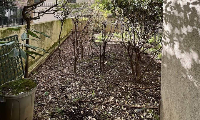 Quartier de Javel Apartment | Charme Paris Beaugrenelle Jardin Privé Avec Parking Pour 4