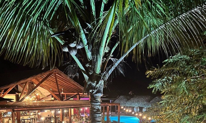 Lagartero House | Charming 1-Bedroom Beachfront Hotel With Pool