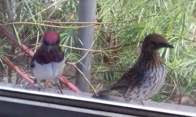 Gunjur House | Charming 2-bedroom on estate in pleasant Gunjur with WiFi, AC