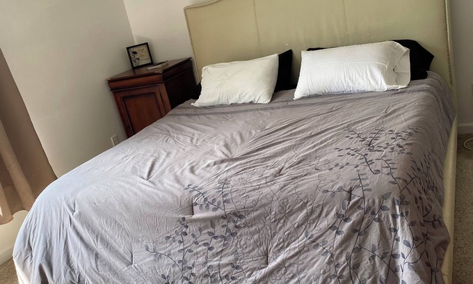 DeKalb House | Charming 3-bedroom townhome in delightful DeKalb with WiFi, AC