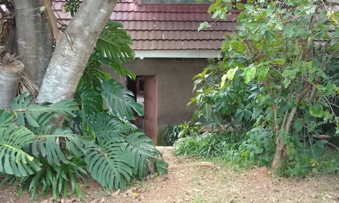 Zimbabwe Bed & Breakfast | Charming and Serene Retreat: The Stonehouse - Your Perfect Getaway!