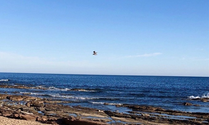 Boulouris-sur-Mer Apartment | Charming Bastidon T2 in the heart of an ancient palm grove, 100 m from the beach