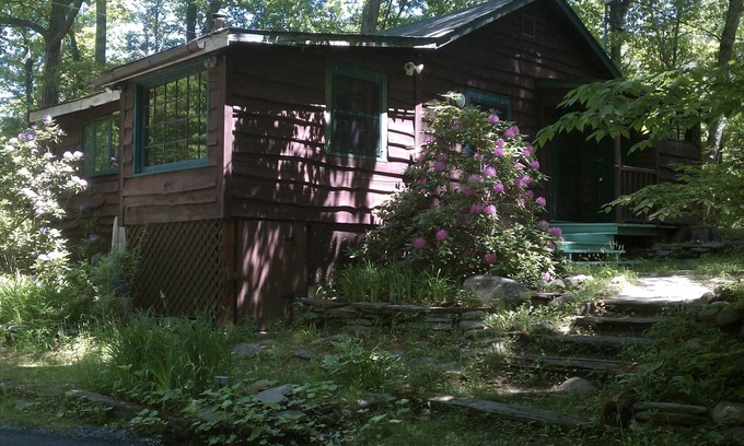 Willow Cabin | Charming Cabin With Rushing Stream In Backyard For Peaceful Retreat