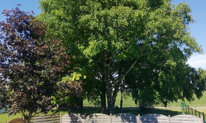 Bougy-lez-Neuville House | Charming cottage Le Moulin Brulé with swimming pool