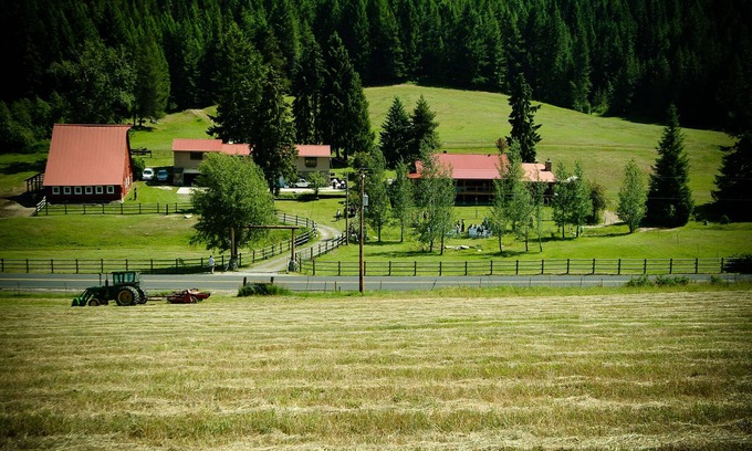 Newport Other | Charming country accommodations at Brookside Acres/horse and rider accommodation