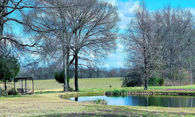 Bells House | Charming country getaway in W. TN sleeps 6. Family & Pet friendly near Blue Oval