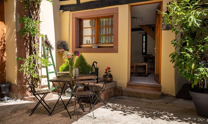 Saint-Hippolyte Apartment | Charming furnished accommodation at the foot of Haut-Koenigsbourg - Le Puits *