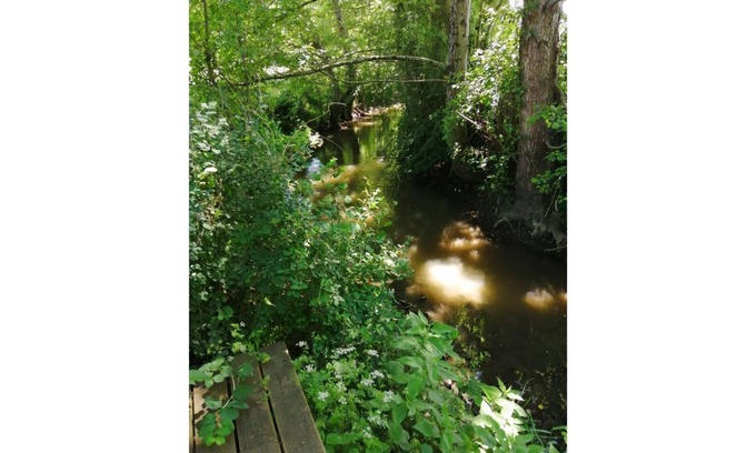 Sarzay House | Charming guest house surrounded by nature