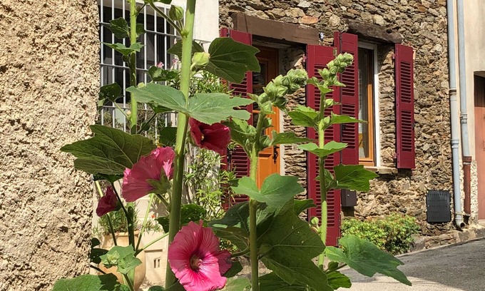 La Garde-Freinet House | Charming Provencal stone house with roof terrace and fantastic distant view