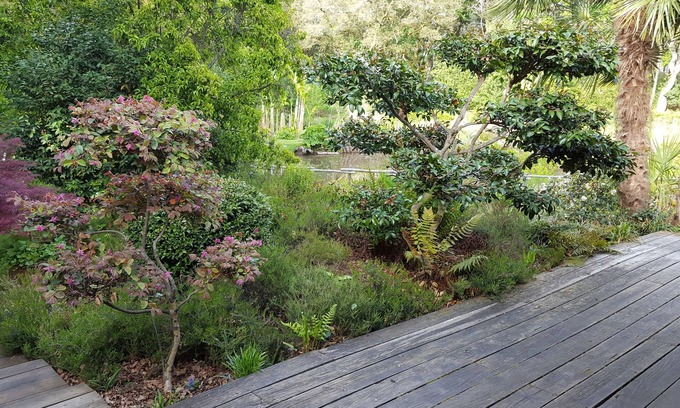 Soustons Apartment | Charming studio in the heart of the pine forest