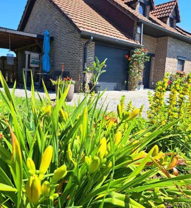 Wibrin House | Chez Baf - Wibrin - Houffalize