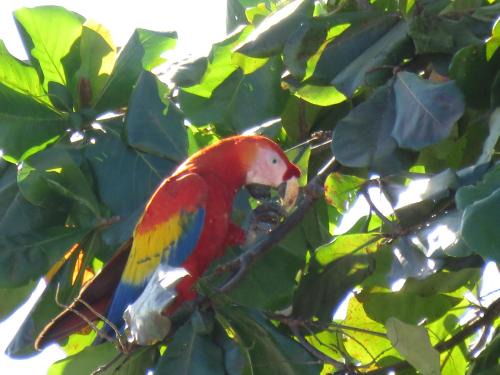 Orotina House | chez philippe