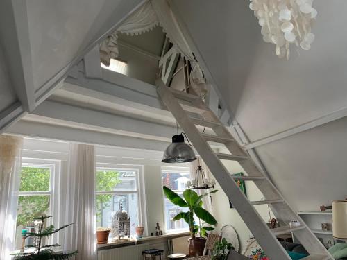 's-Hertogenbosch Bed & Breakfast | Choco Loca Loft, Bed, Bad & Bol