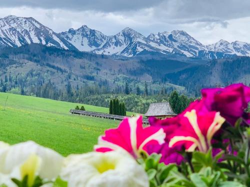 Male Ciche House | Chracowka