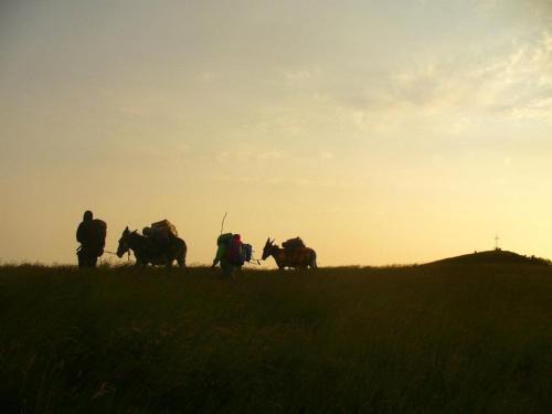 Cantalupo Ligure House | Ciuchi House