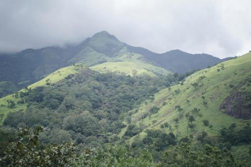 Kottappadi part House | Coffee Palace