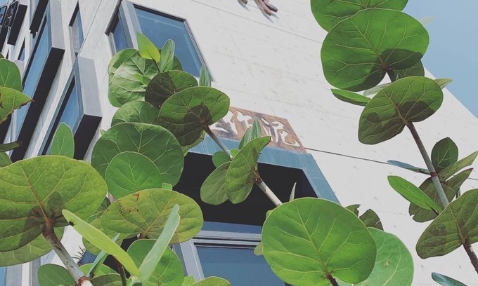 Xincheng Bed & Breakfast | Comesit