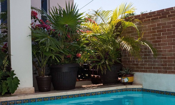 La Gloria House | Comfortable 4 bedroom home in local area with pool! Sleeps 8 people!