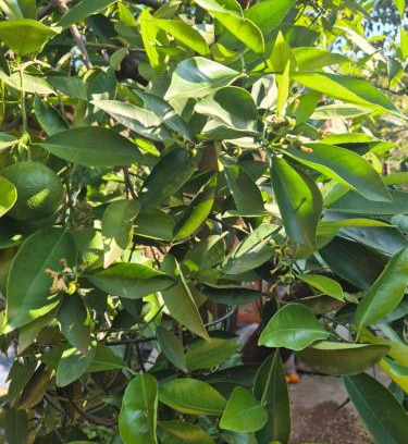 Kimberley House | Comfy Home