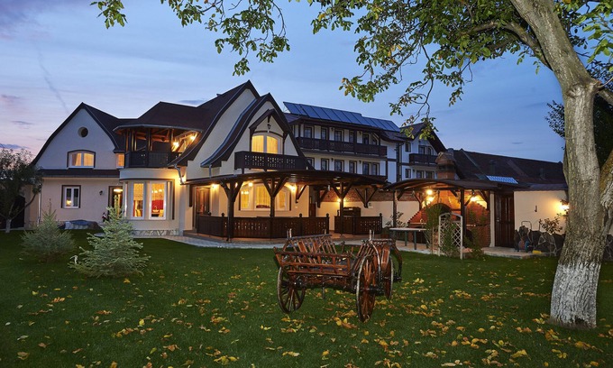 Vladeni Hotel | Conacul Ambient