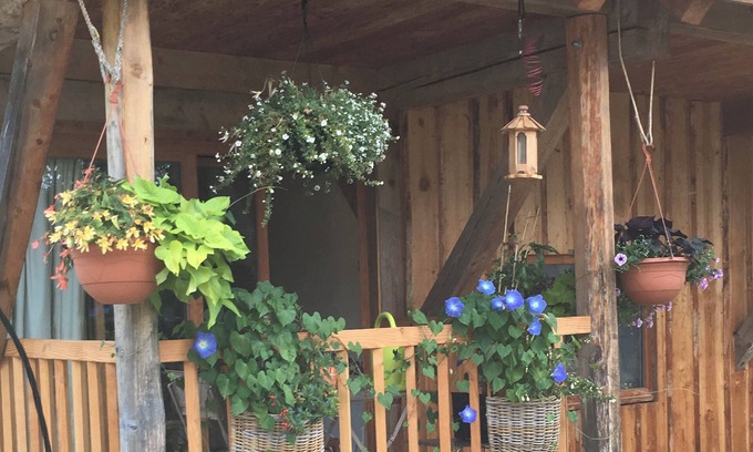 Leschaux Apartment | COSY STUDIO IN THE HEART OF THE BAUGES