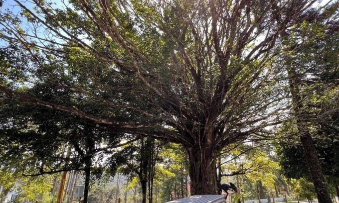 Cerro Azul Cabin | Cottage in a beautiful property.