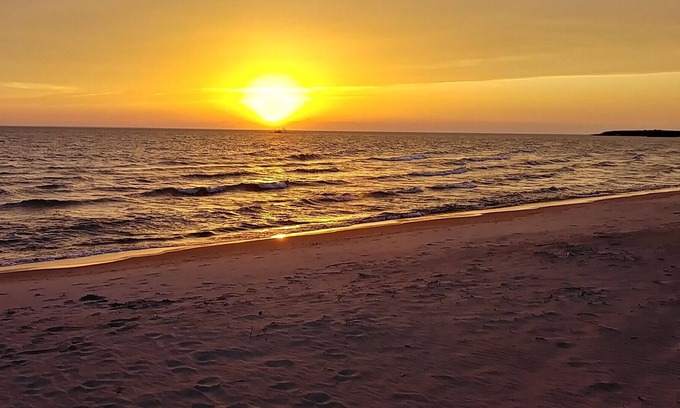 Tiny Cottage | Cottage in the Pines - Georgian Bay