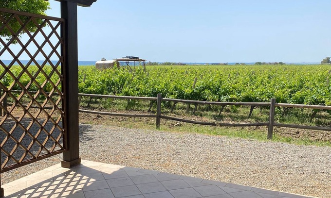 Ciro Marina House | cottage nestled in a vineyard on the sea